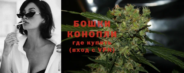 mix Богородицк