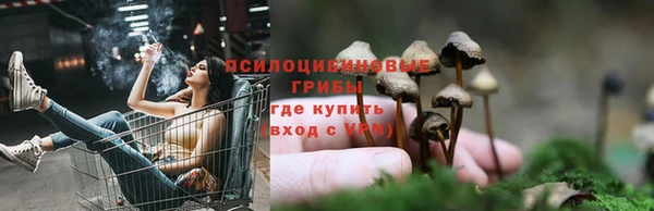 мет Богданович