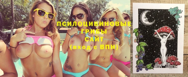 mix Богородицк