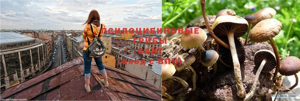 мет Богданович
